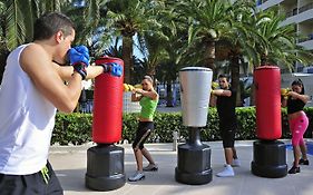 Sol Palmanova Mallorca